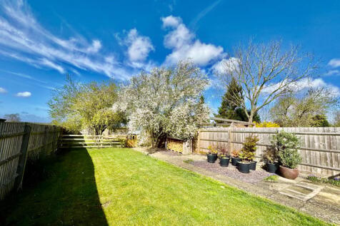 Lawn &amp; Cherry Plum Blossom Tree
