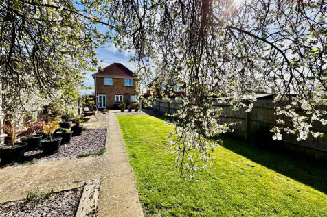Lawn &amp; Rear of Property 