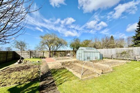 Raised Beds and Green house 