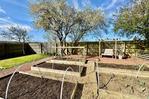Cultivated Raised Beds