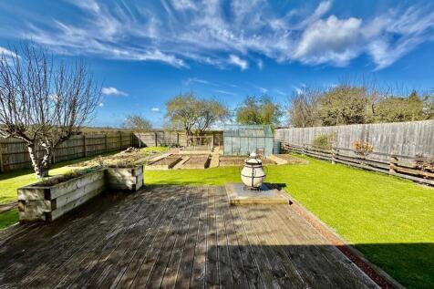 Decking &amp; Lawn 