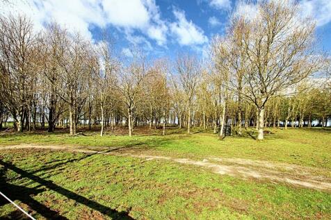 Woodland/paddock area