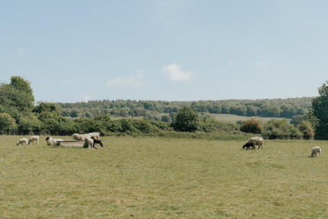 286615 - CHARING-PALACE-EDIT2-125.jpg