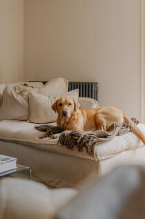 294495 - _A747701.jpg