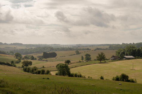 295545 - _A747756.jpg