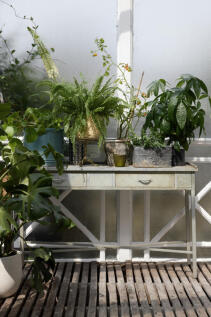 304458 - AJ8A5518.jpg