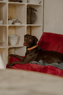 311709 - _A740341.jpg