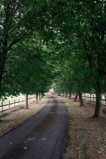 304025 - ORANGERY-2.jpg