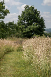 293243 - Cottenden Farmhouse, Cottenden Road, S...