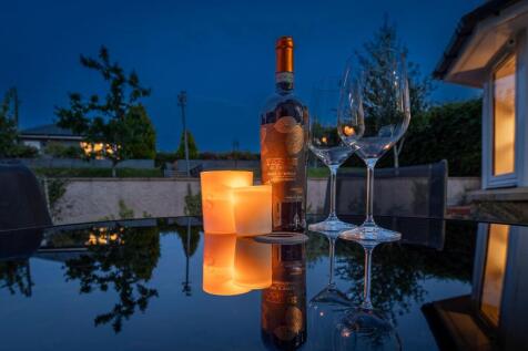 Rear Garden - Twilight