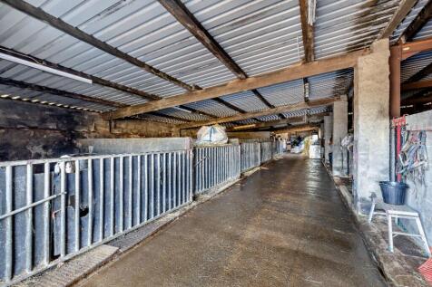 Equestrian Facility