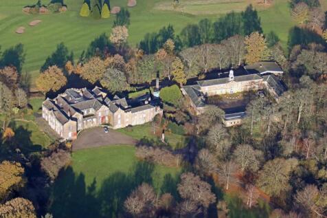 H5D_0487 EDIT CROP.jpg