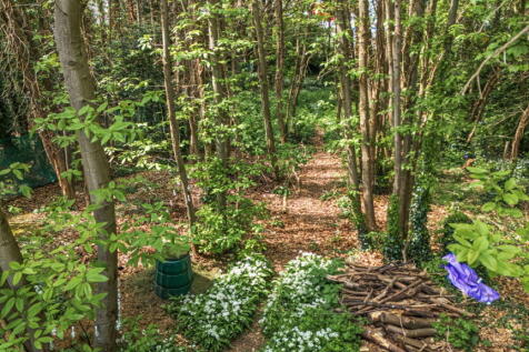 Property Image 44