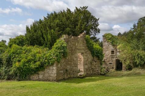 Castle Remains