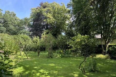 Orchard