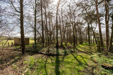 Woodland