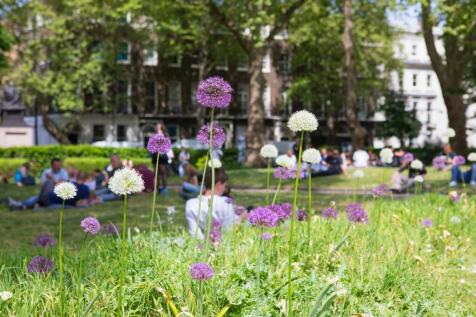 20 Bloomsbury Square
