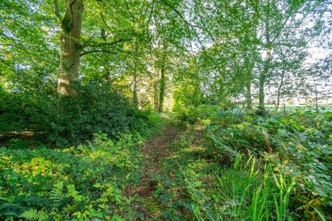 Property Image 50
