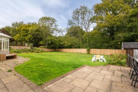 Silver Birches-31.jpg