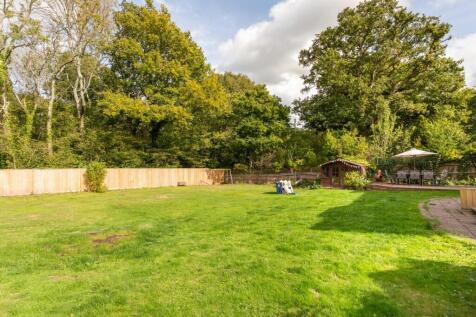 Silver Birches-34.jpg