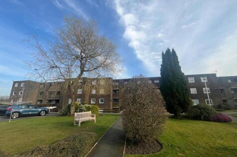 WhatsApp Image 2025-03-20 at 15.51.15.jpeg