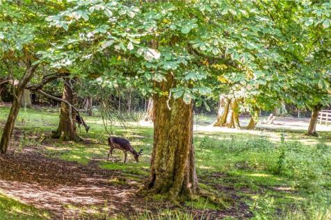 Davidson Frost-Wellings, Deer Park, Stanmore..jpeg