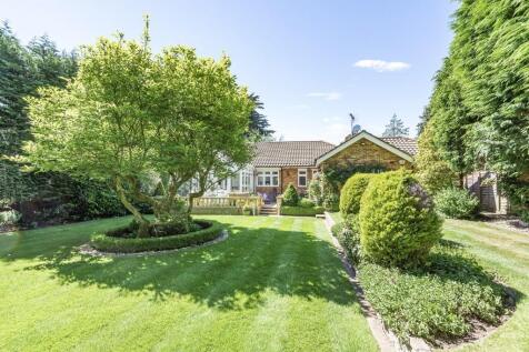 Davidson Frost-Wellings, DFW, Fallowfield, Garden.