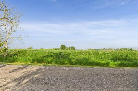 Field Views