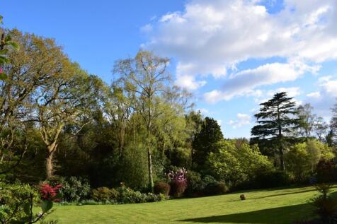Property Image 33