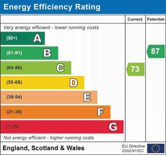Energy Efficiency