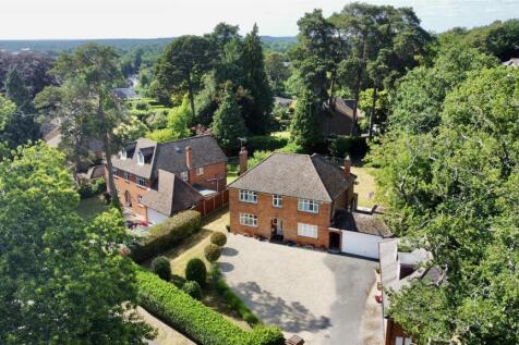 dji_fly_20250602_160108_514_1748964511225_photo_op