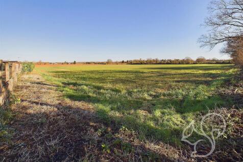 Field Views