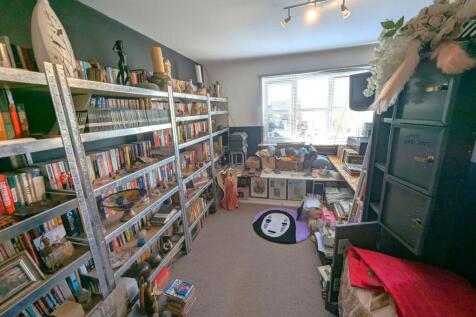 PXL_20250227_115228131.RAW-01.COVER.jpg