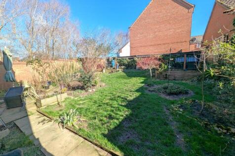PXL_20250227_112336073.RAW-01.COVER.jpg