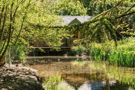 TRH Duck Pond..jpg