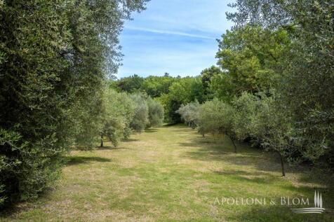 Property Image 56