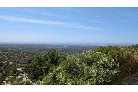 PXL_20250613_102044687