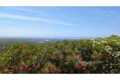 PXL_20250613_102111128