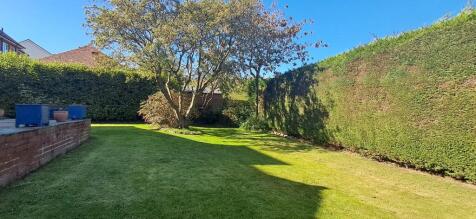 WhatsApp Image 2025-09-25 at 14.54.52.jpeg