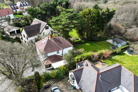DJI_20250305114019_0009_D