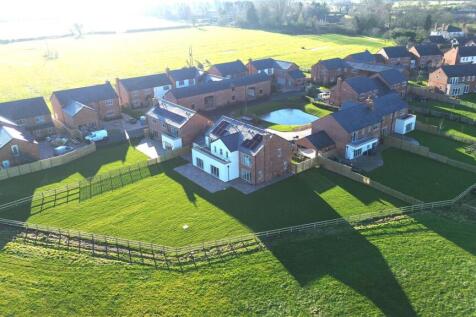 DJI_0272.JPG