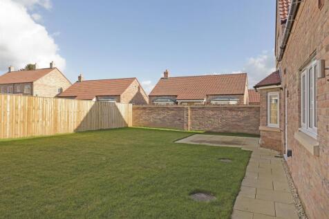Back garden