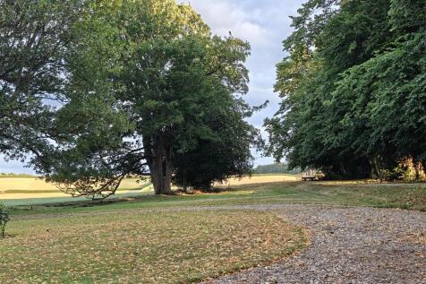 Summer View over South Garden Area
