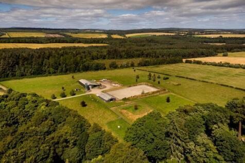 248432_1595_194419_IMG_10_0001_max_476x317