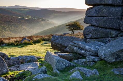 Dartmoor 1  (1)