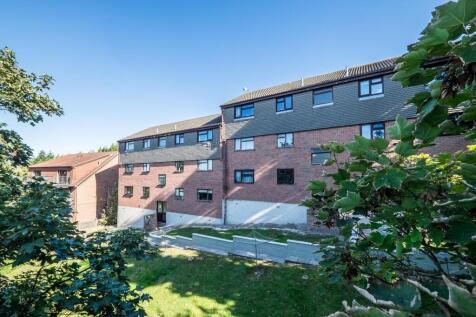 Rear Elevation &amp; Grounds