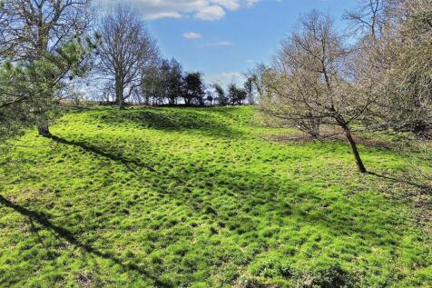 dji_fly_20250402_122144_199_1743607430531_photo_op