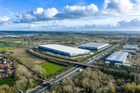 Eighty_Pan MK_20251113_0531.jpg