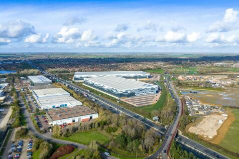 Eighty_Pan MK_20251113_0539.jpg