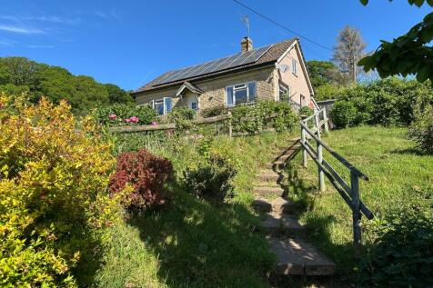 picture taken by vendor